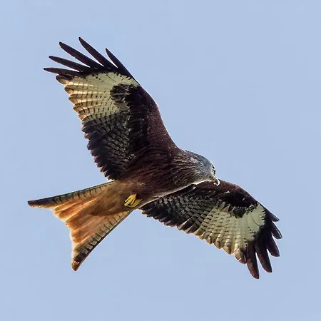 Xaloc&garbí Apartmán Cala Galdana (Menorca)