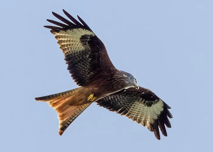 Xaloc&garbí Apartmán Cala Galdana (Menorca)